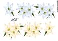 3D Pastel Lilies