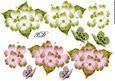 3 D Spring Flowers