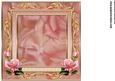Edwardian Roses& Shoes Insert