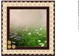 In the Meadow Broderie Frame Insert