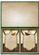 Insert Male Card Vintage Butterflies