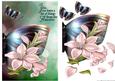 Nature is Beautiful -