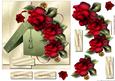Gift Box & Drama Roses
