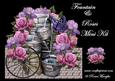 Fountain & Roses Mini Kit