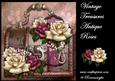 Kit Vintage Treasures & Antique Roses