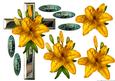Sympathy Cross Golden Lily