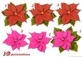Poinsettia Red & Pink 3D
