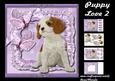 Mini Kit Puppy Love 2