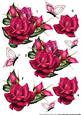 3D Beautiful Roses