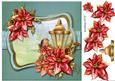 Beautiful Christmas Poinsettias 1