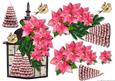 Christmas Lantern & Pink Poinsettias