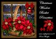 Christmas Window Basket & Poinsettias