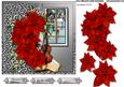 Beautiful Poinsettias