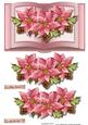 Pink Poinsettias Book