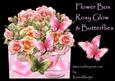 Flower Box Rosy Glow & Butterflies Mini Kit