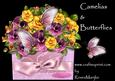 Flower Box Camelias & Butterflies