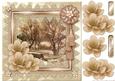 Winter View in Lace Frame & Magnolias