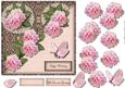Perfect Pink Peonies