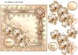Deep Cream Roses in Lace Frame