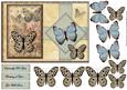 Vintage Butterflies