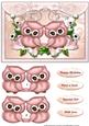 Cute Pink Owls