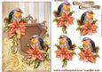 Christmas Robins Birdsong Classic Card