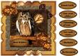 Scallop Topper Male Card Wise Owl