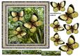 Male Card Vintage Butterflies