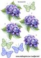 Step by Step Roses & Butterflies