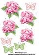 Step by Step Pink Roses & Butterflies