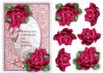Wonderful Roses
