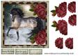 Horse & Roses