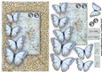 Butterfly Beauty 2