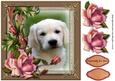 Puppy Love 2