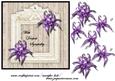Sympathy Purple Orchids