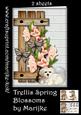 Trellis Spring Blossoms Mini Kit