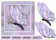 Beautiful Butterfly in Lavender