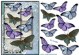 Vintage Butterflies