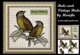 Male card Vintage Birds Mini Kit