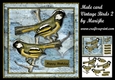 Male card Vintage Birds 2 Mini Kit