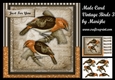 Male card Vintage Birds Mini Ki t3