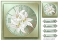 Sympathy Lilies 2