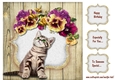 A Curious kitten Card Topper