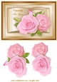 Book with Pink roses