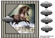 Male card Topper beautiful Horse 2