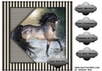 Male card Topper beautiful Horse 3