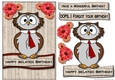 Belated Birthday Owl