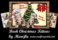 Book Christmas Kitten