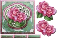 Beautiful Pink Roses 2