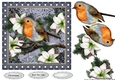 Beautiful Robin Winter Greetings